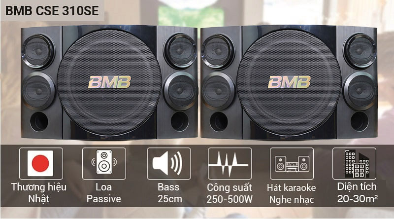 bmb-cse310se