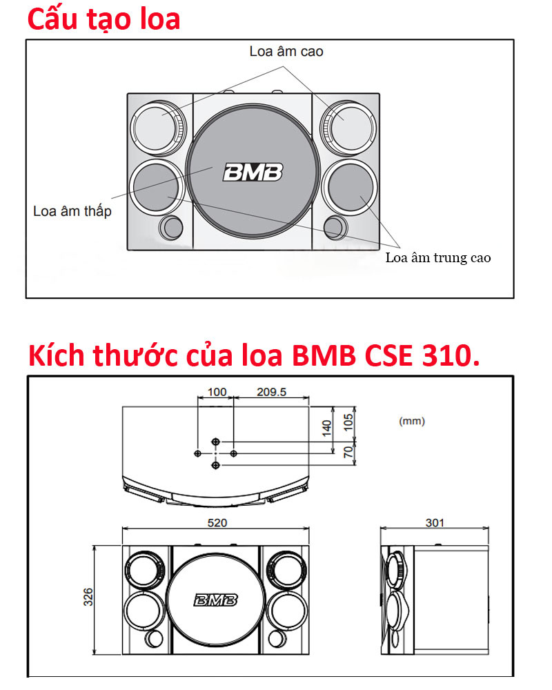kich-thuoc-loa-bmb-310