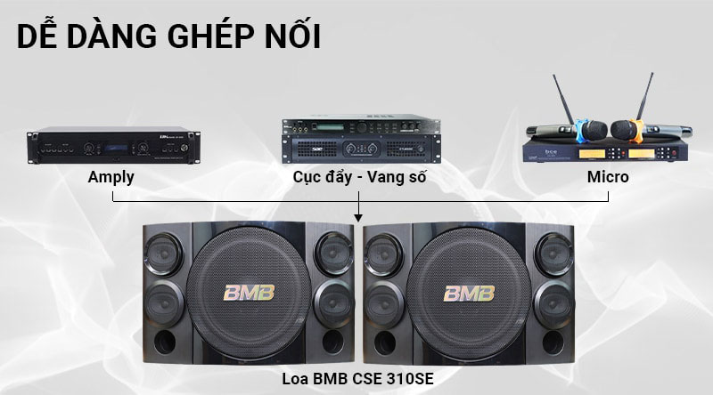 loa-karaoke-bmb-cse-310se-bass-25cm-P1551-1597893895172