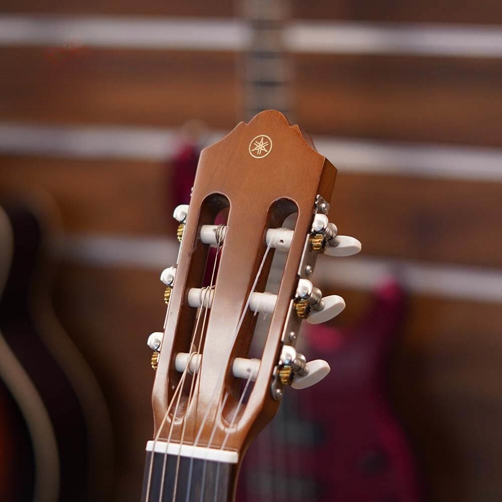 dan-classic-guitar-cgs102a-1