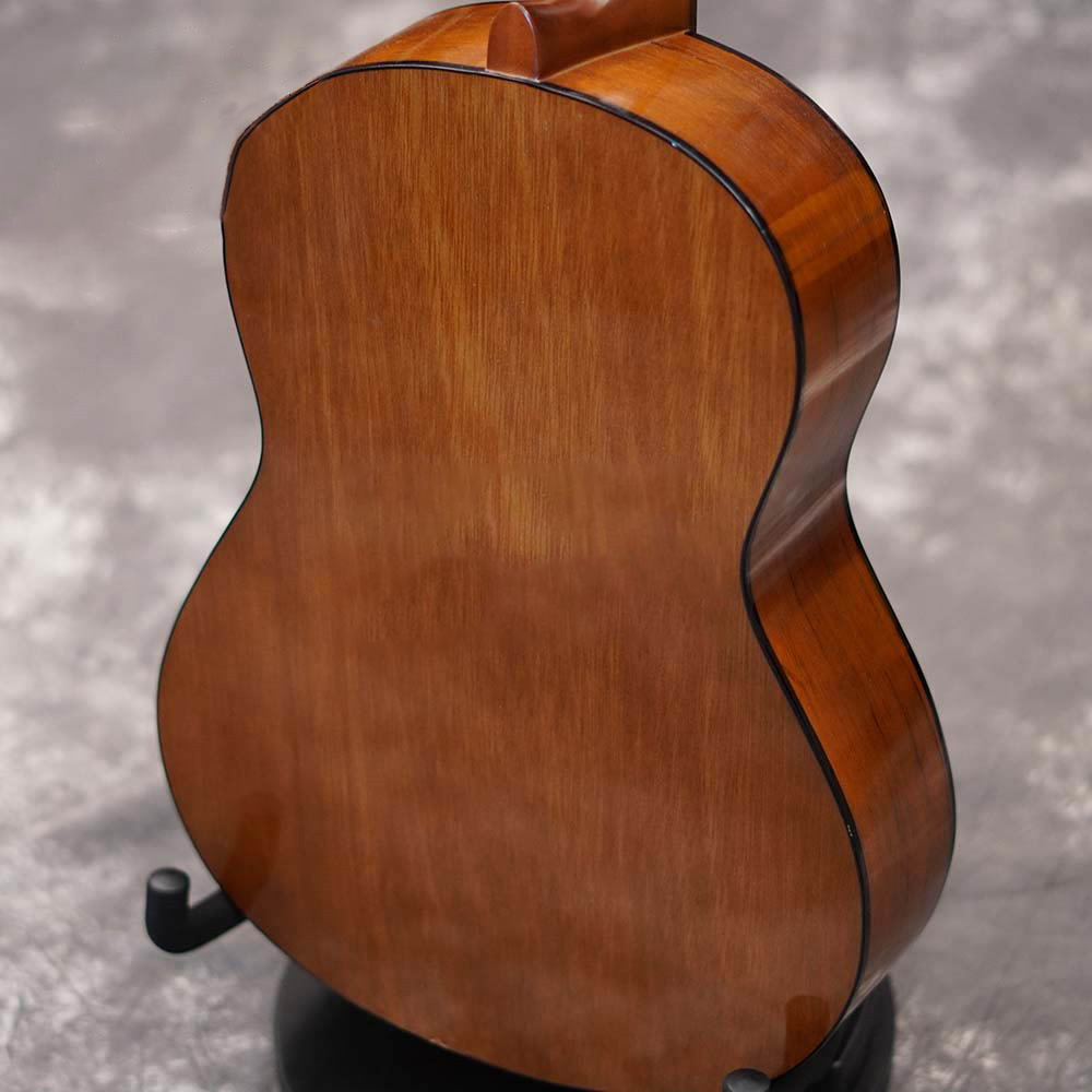 dan-classic-guitar-cgs102a-5