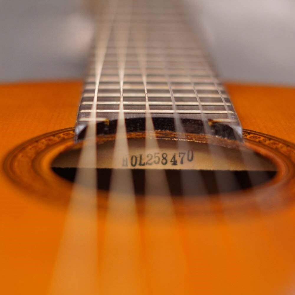 dan-classic-guitar-cgs102a-7