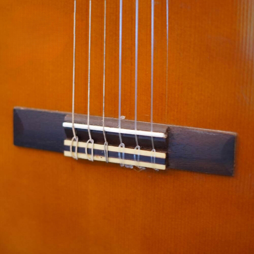 dan-classic-guitar-cgs102a-9