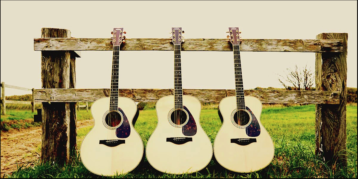 dan-guitar-yamaha-ll16m-1