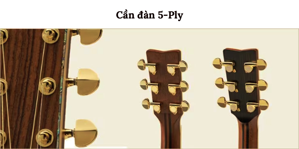 ket-cau-tay-cam-dan-yamaha-ll16m
