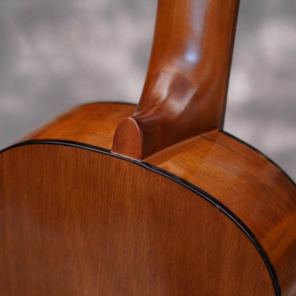 Đàn Guitar Classic YAMAHA CGS102A