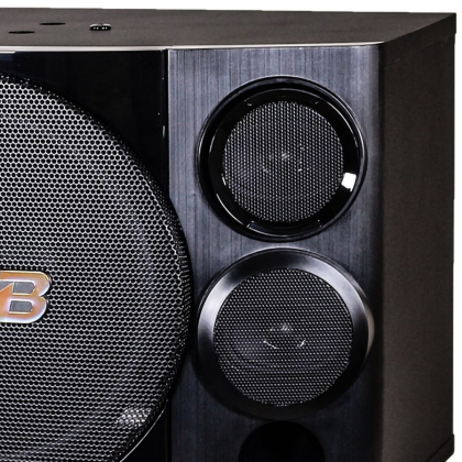 Loa karaoke BMB CSE 310SE