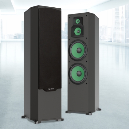Loa Paramax F2000